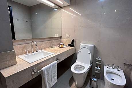 executive suite, 1 king, park view