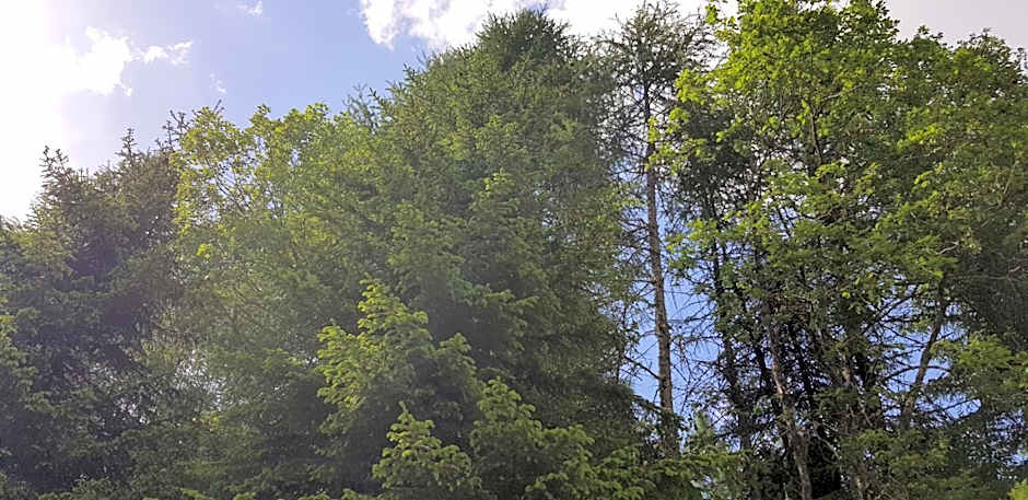 Kinder- und Familienhotel Nockalm