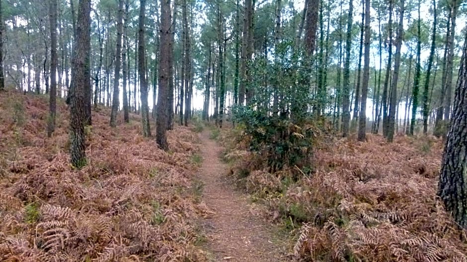 Les Calicots Sanguinet