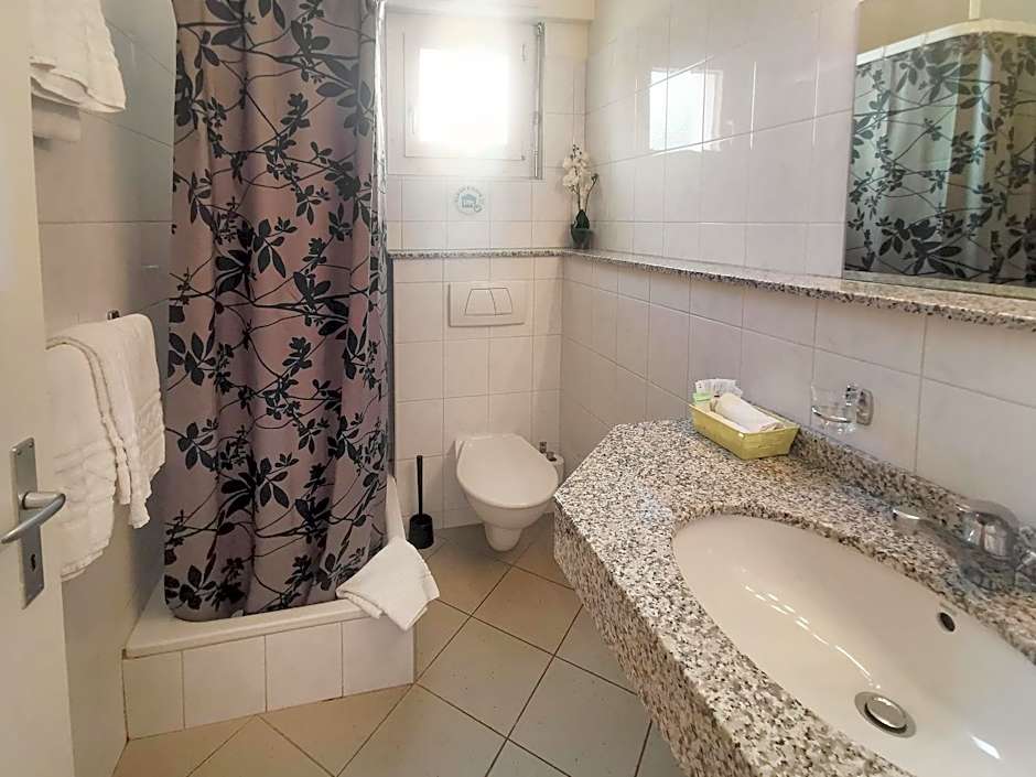 Hotel des Alpes Bulle center