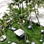 Cowrie Shell Beach Apartments Official