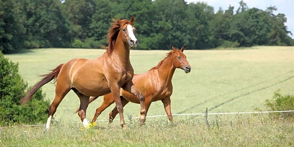 Logis de la Helberdière