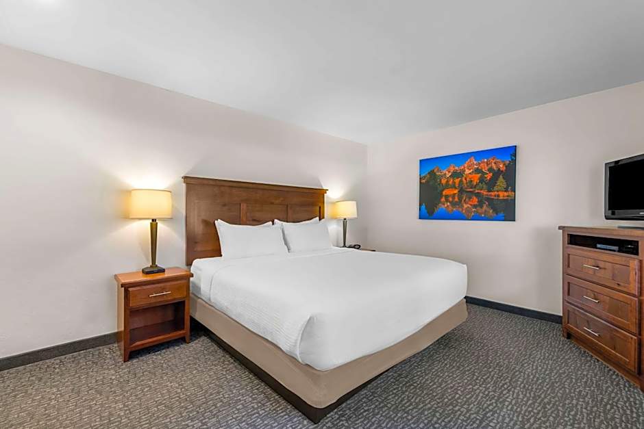 Best Western Driftwood Inn