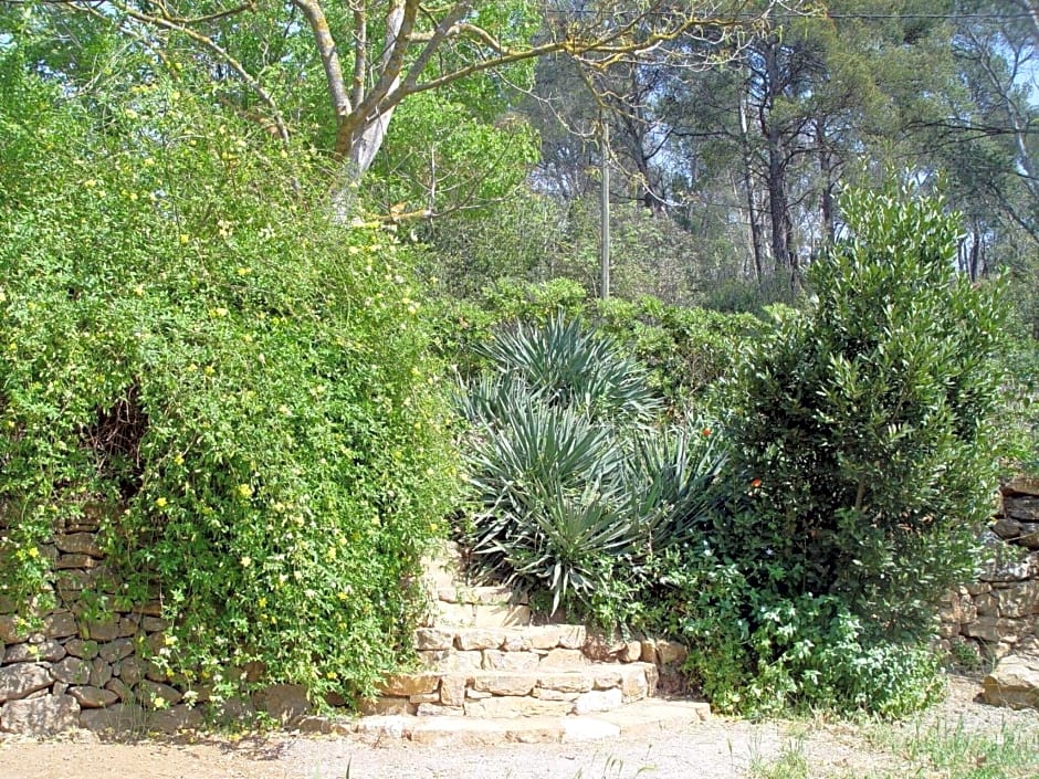 Family Apartment, 2-6 People, In Provenve