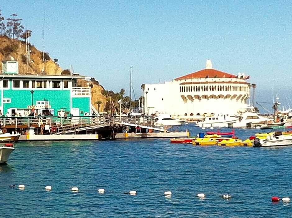 Catalina's Got Cart Condo