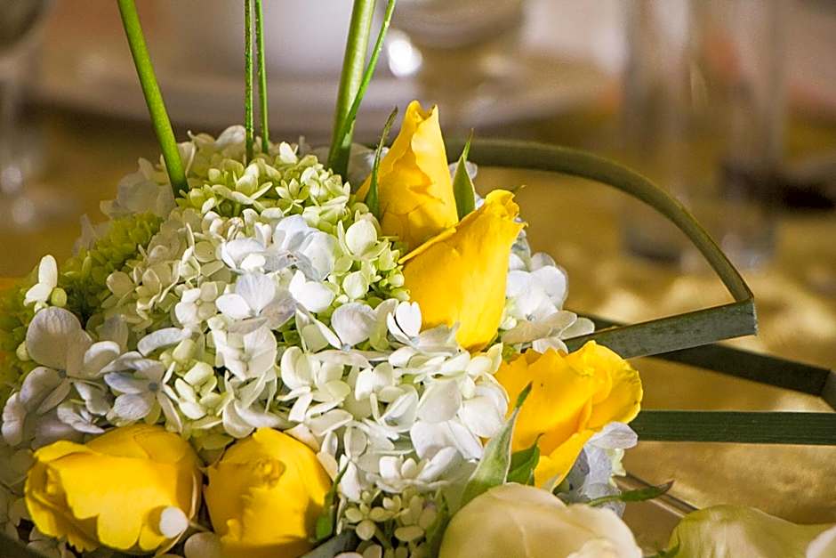 Villa las Margaritas Plaza Cristal