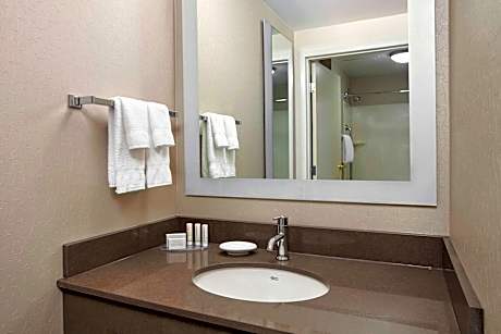 Suite, 1 King Bed with Sofa bed (Mobility Accessible, Tub) (1 King Bed and 1 Double Sofa Bed)