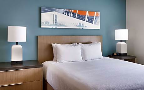 King Studio Suite with Sofa Bed and Roll-In Shower - Disability Access