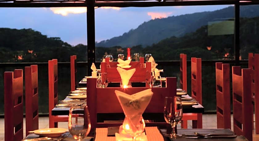 The Rainforest Ecolodge