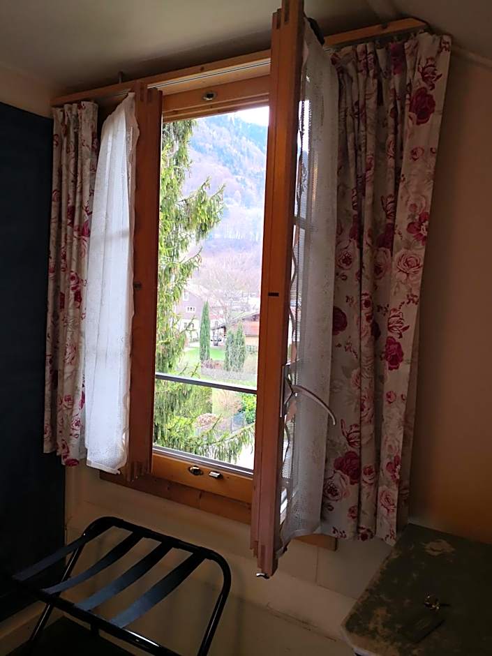 Edelweiss Lodge