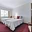 The Noble Grape Guesthouse
