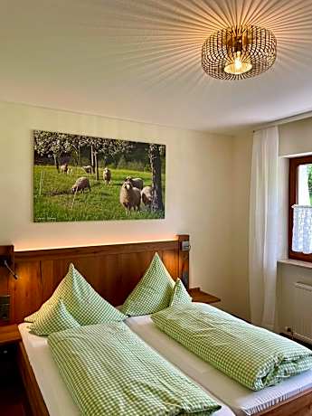 Double Room in Guest House