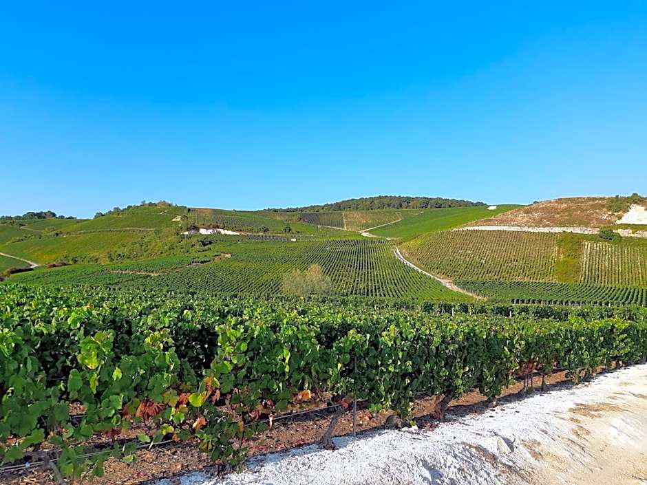 La Cour des Marotiers