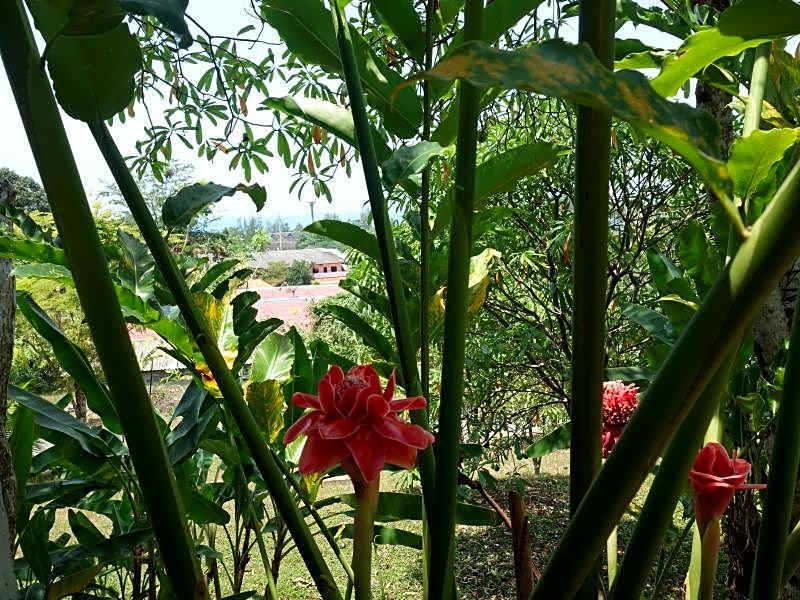 Khaolak Hillside Villa