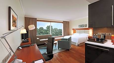 Deluxe King Room with Kitchenette