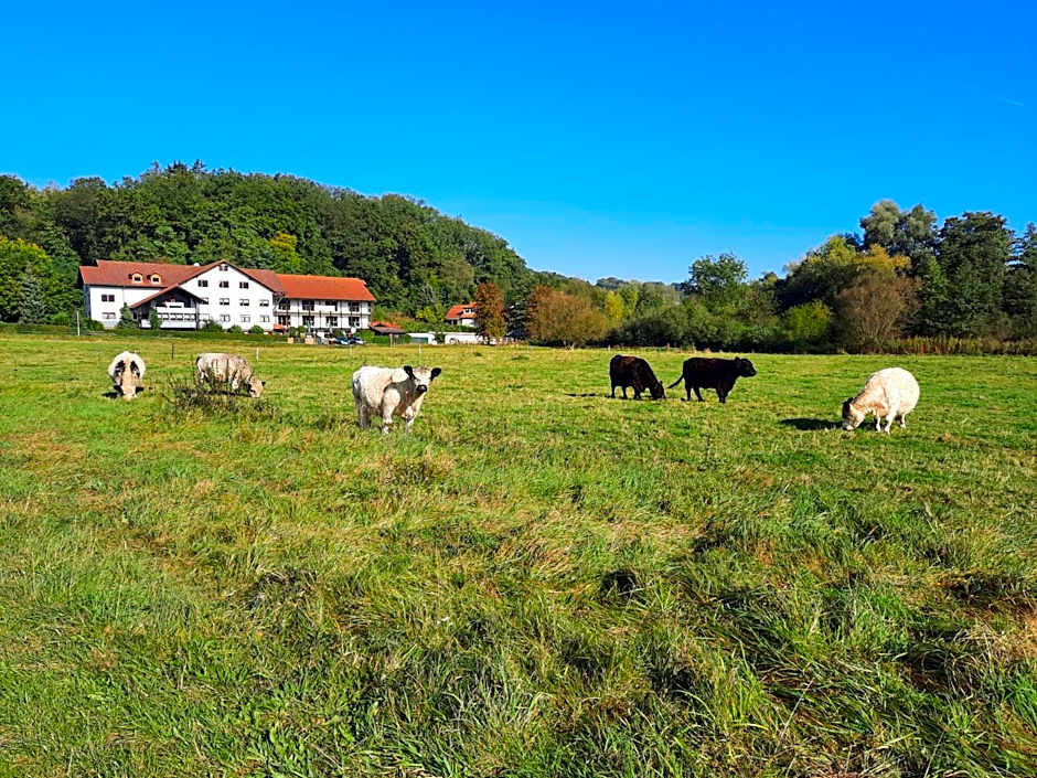 Landgasthof Rotlipp Gästezimmer