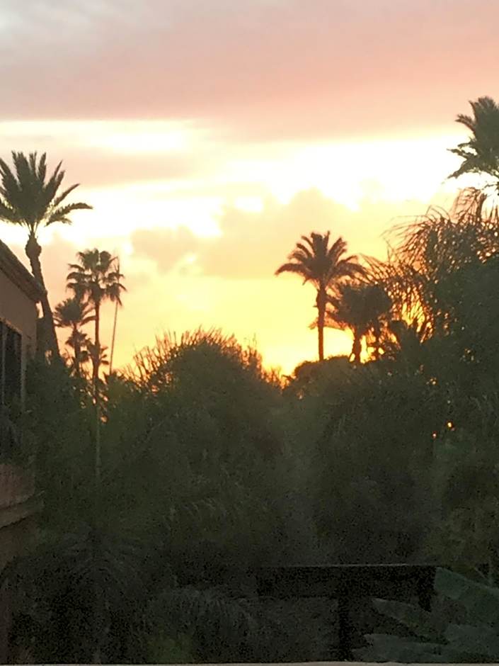 riad anrich