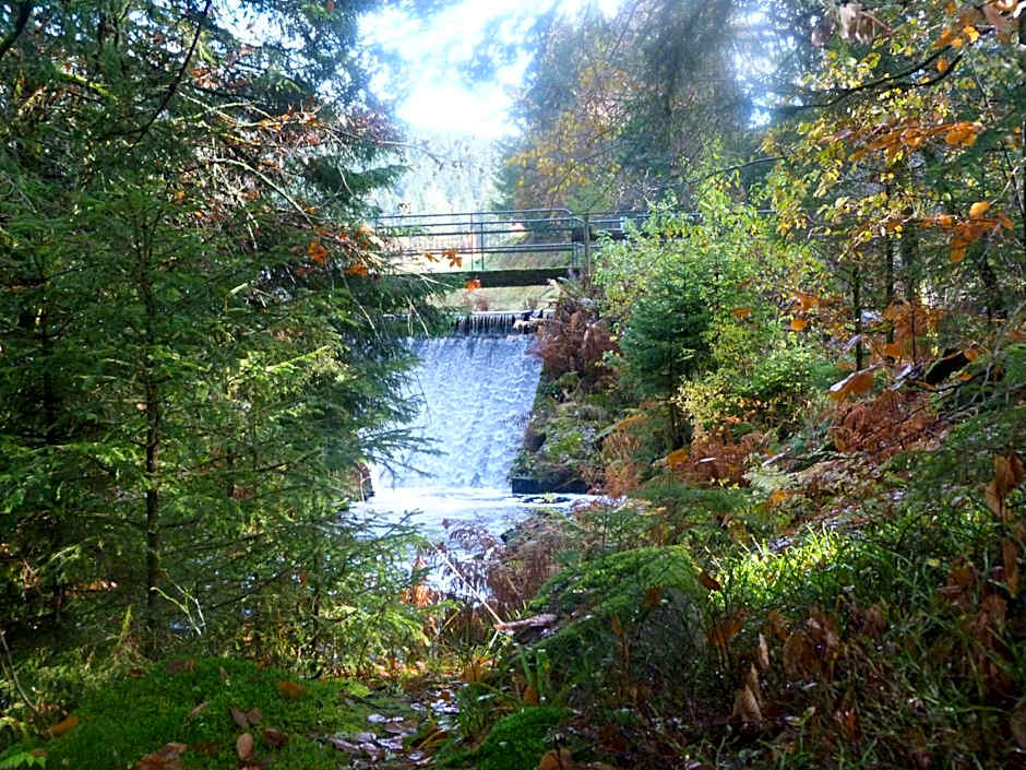 Domaine Des Hauts Viaux