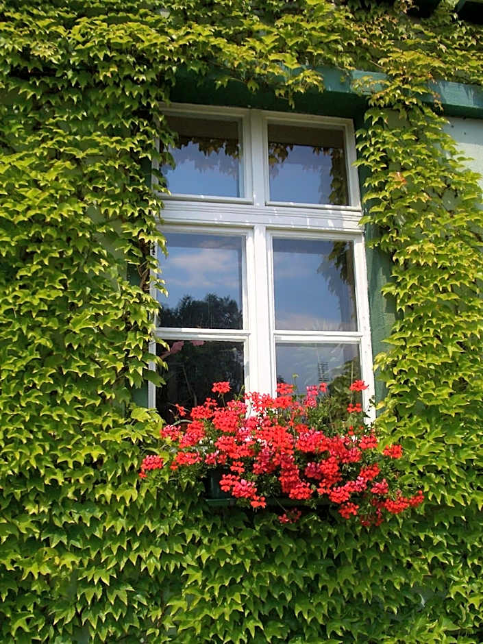 Hotel Zur Alten Oder- Frankfurt-Oder