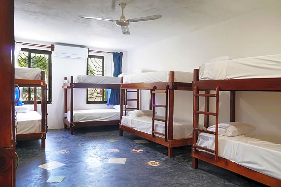 Red Panda Hostal