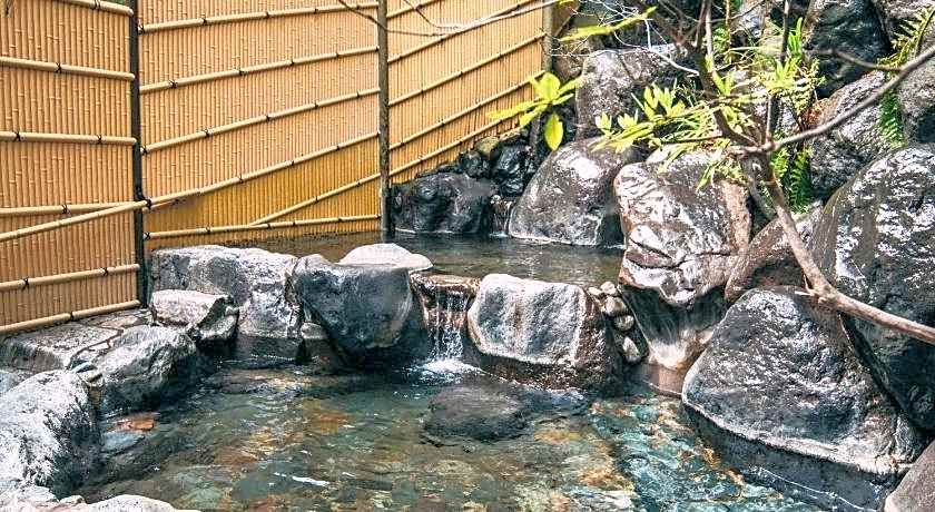 Iwaiyado Jyuan Ryokan