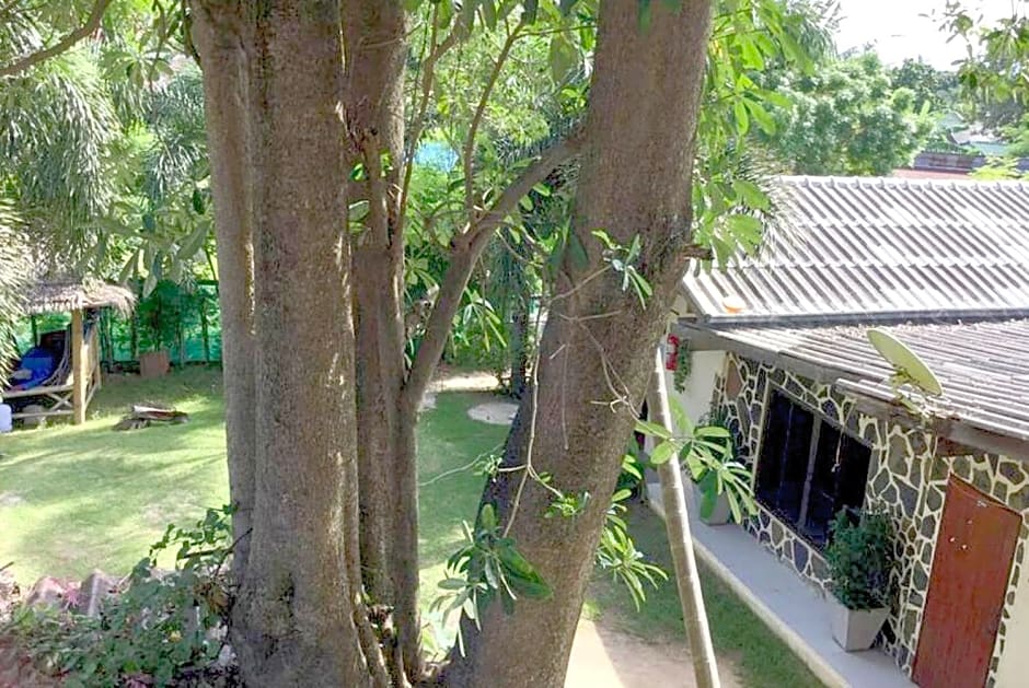 WET! a Pool Party Hostel by Wild & Wandering