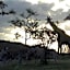 Khululeka Safaris Lodge