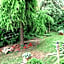 B&B Casa Boscolo