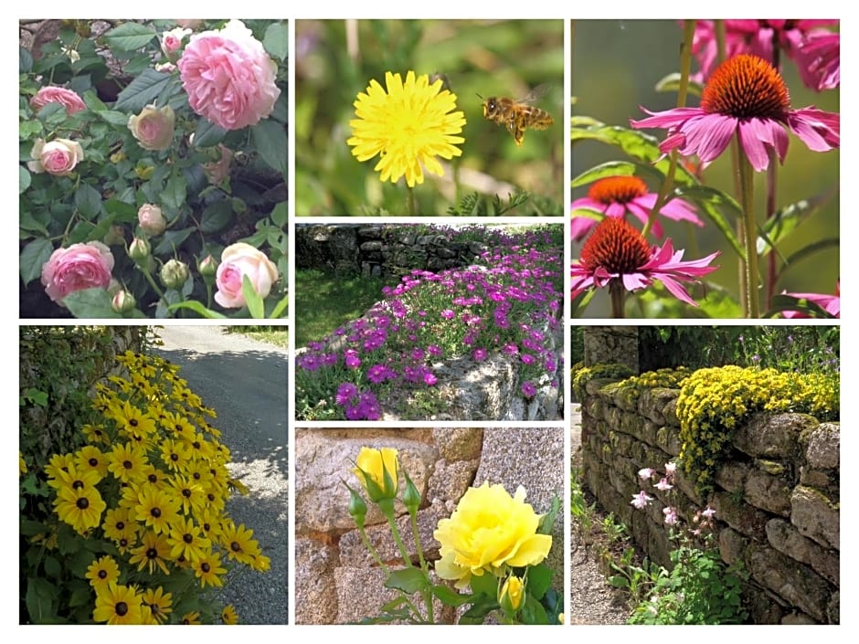 A L'Ombre du Tilleul