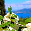 Vergina Star Hotel