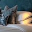 Queens Hotel & Spa Bournemouth