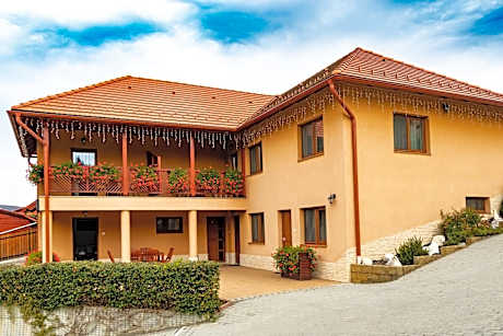 Casa Tofi Vendégház