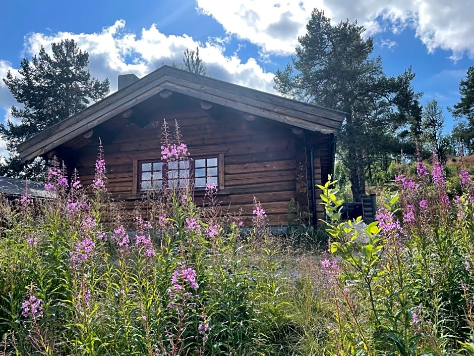 Måsåplassen Friisvegen Mountain Lodge