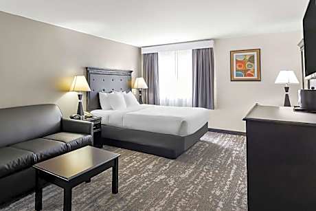King Room with Sofabed - Pet Friendly