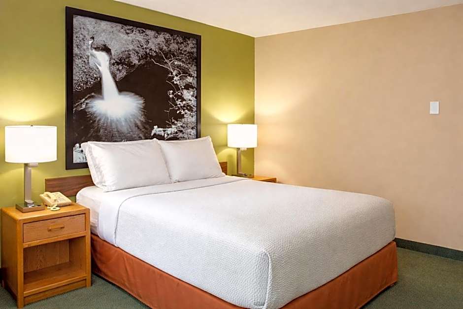 Foto 1 dari 4 — 1 Queen Bed, Accessible