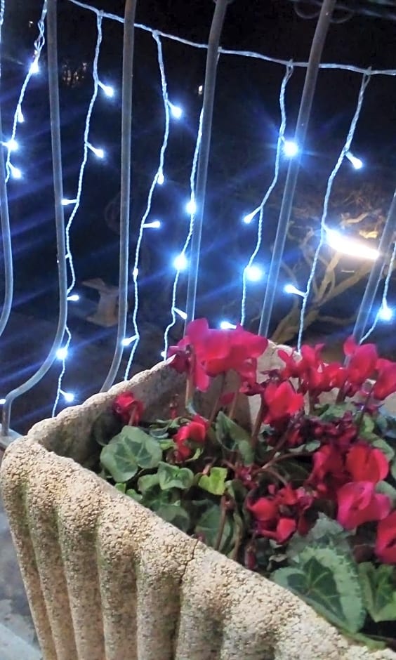 Terme e relax nella campagna viterbese