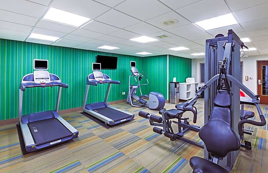 Holiday Inn Express Hotel & Suites Dallas Lewisville By IHG