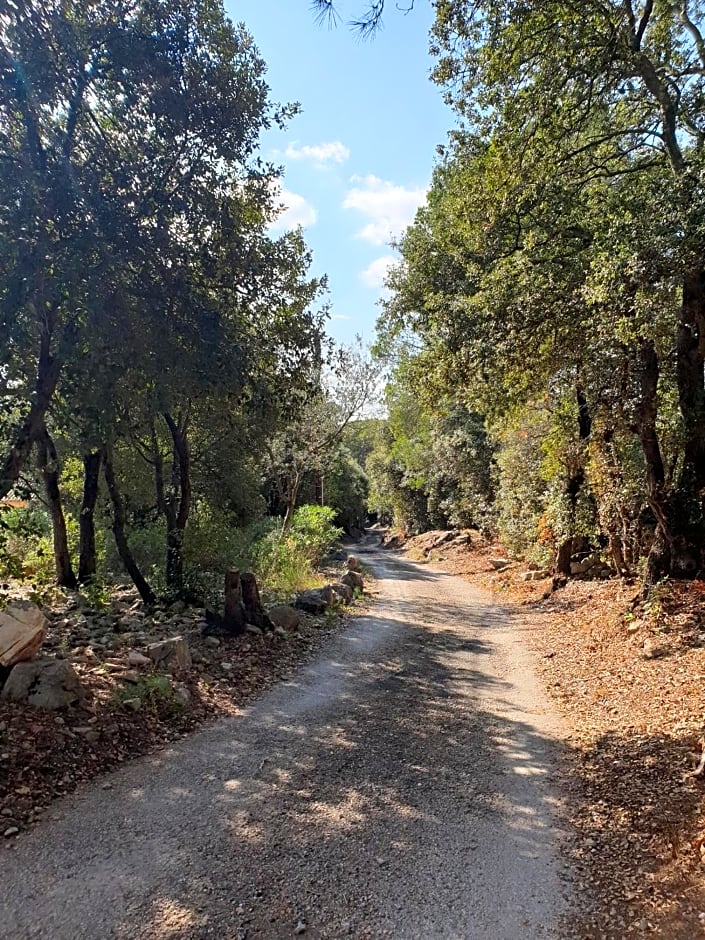 Le Petit Coin de Paradis