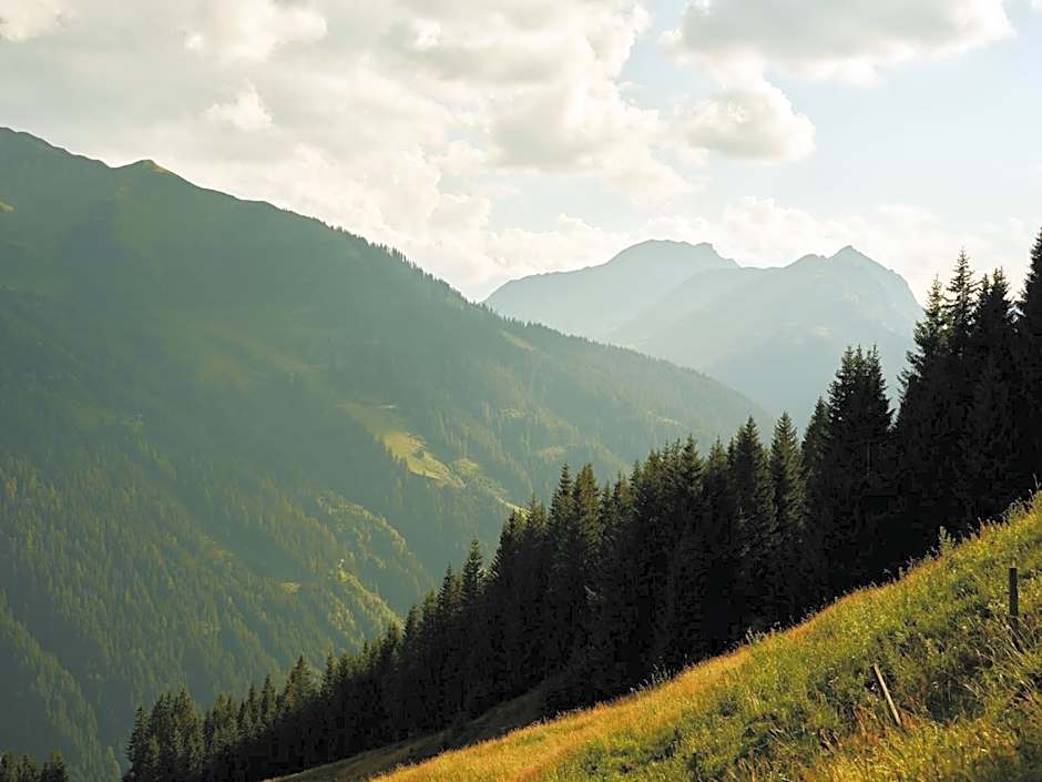 Wiesergut