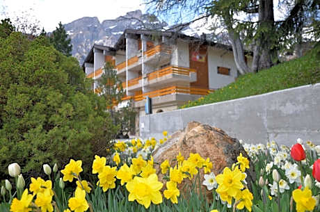 Hotel Alex