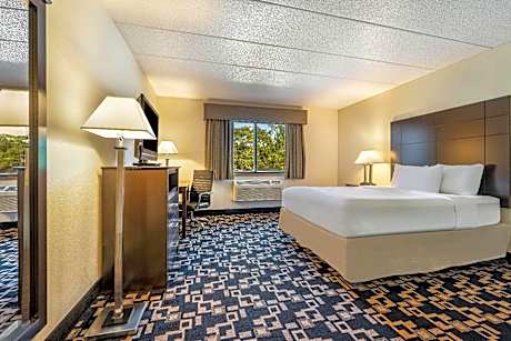 1 Queen Bed Non-Smoking