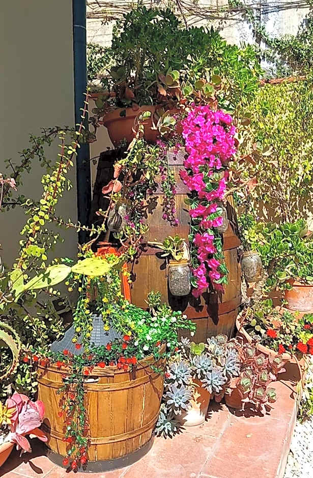 Bed and Breakfast Rosangela