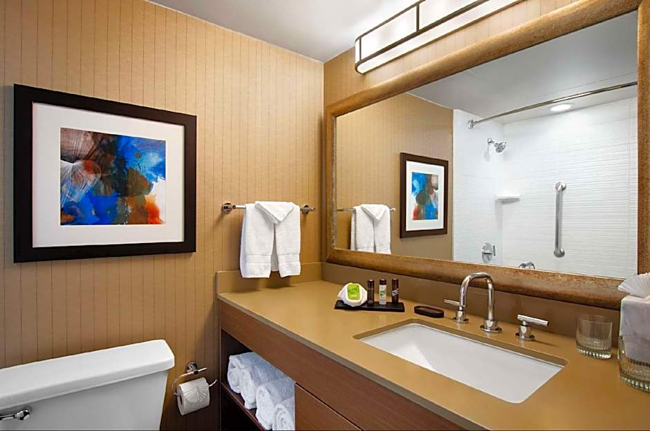 Embassy Suites by Hilton Dallas DFW Airport South