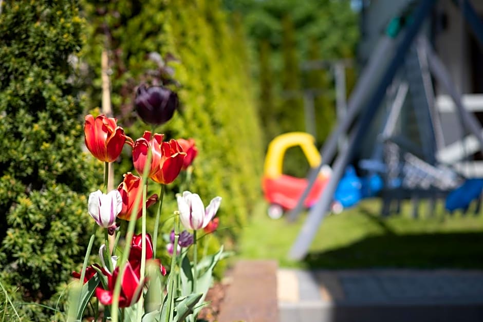 Domki Jelonek - Całoroczne, ogrzewane, klimatyzowane