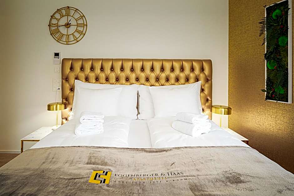 VISIMO Apartments Mühlensteg St Gallen - Elegant Quiet Central