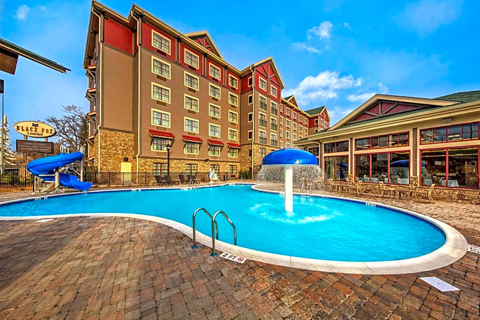 Black Fox Lodge Pigeon Forge, Tapestry Collection by Hilton