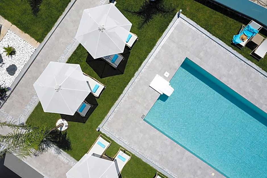 Coconut Palm Paradise