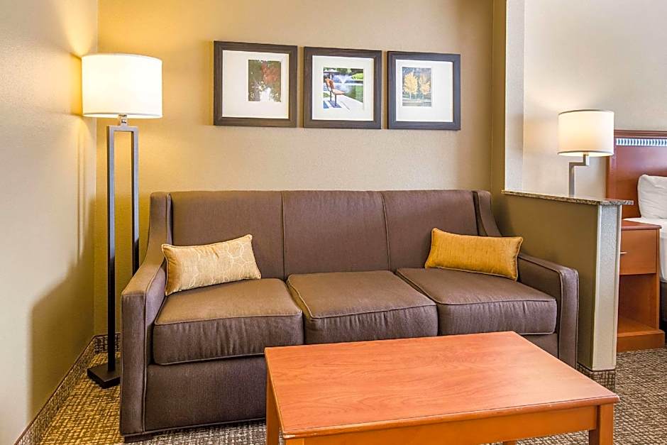 Comfort Suites Normal University area