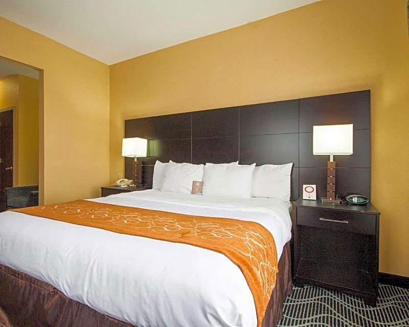 Comfort Suites Lake Ray Hubbard