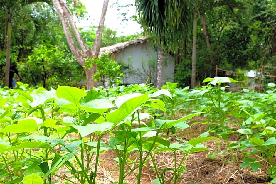 Salty's Kitesurf Village